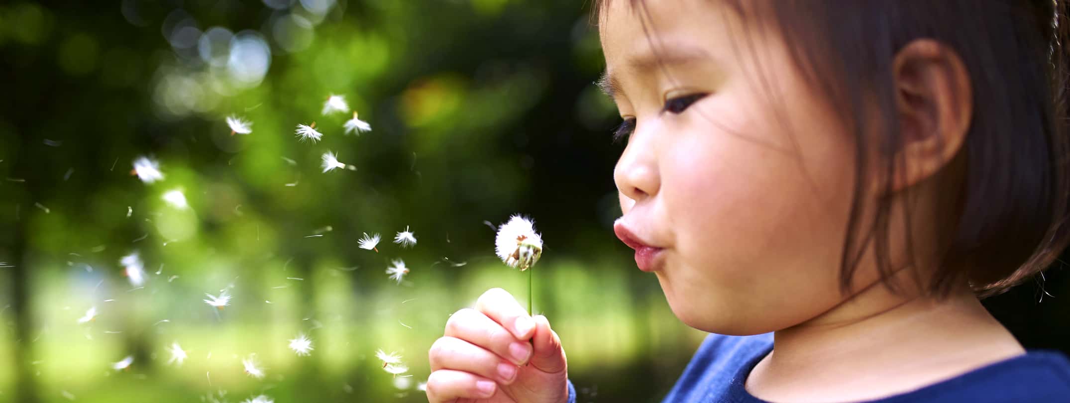 girl blowing dandelion flower